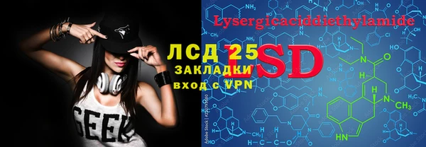 индика Армянск