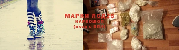 дживик Аркадак