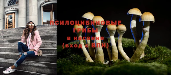 дживик Аркадак