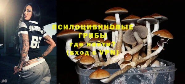 дживик Аркадак