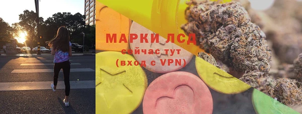 дживик Аркадак